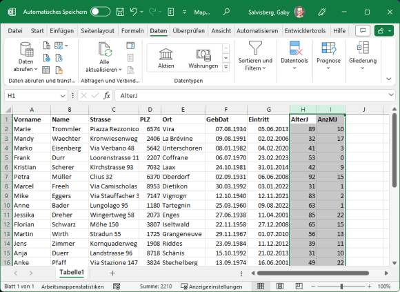 Screenshot einer Excel-Mitgliederliste mit Spalten "Alter" und "Mitgliedschaftsdauer" 