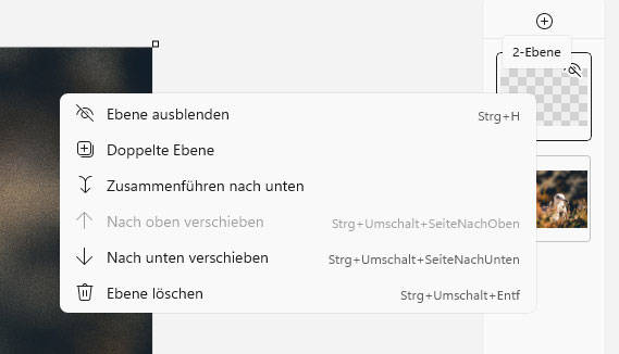 Bild 6: Mit einem Rechtsklick erscheinen weitere Optionen